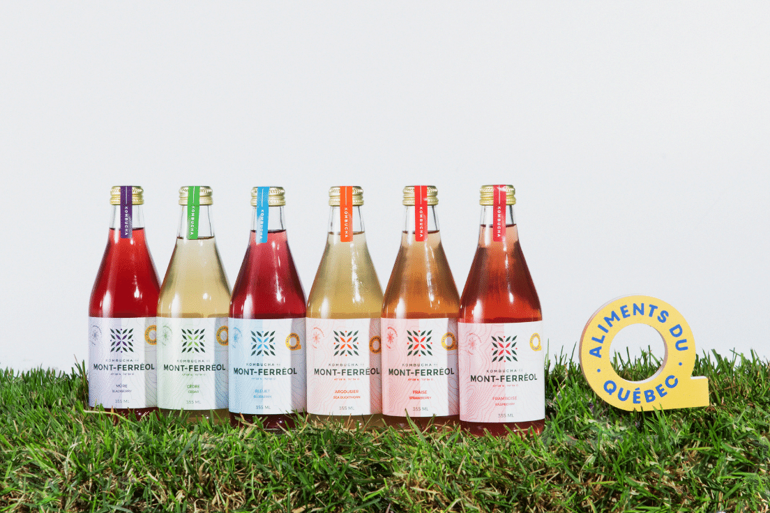 Kombucha du Mont Ferréol